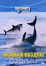 Discovery: Акулы в воздухе