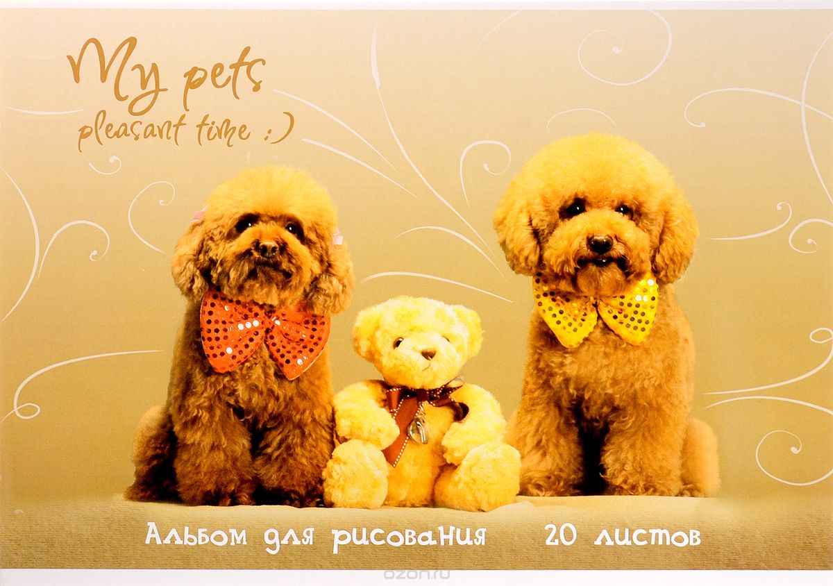 ArtSpace Альбом для рисования Питомцы Игрушки 20 листов